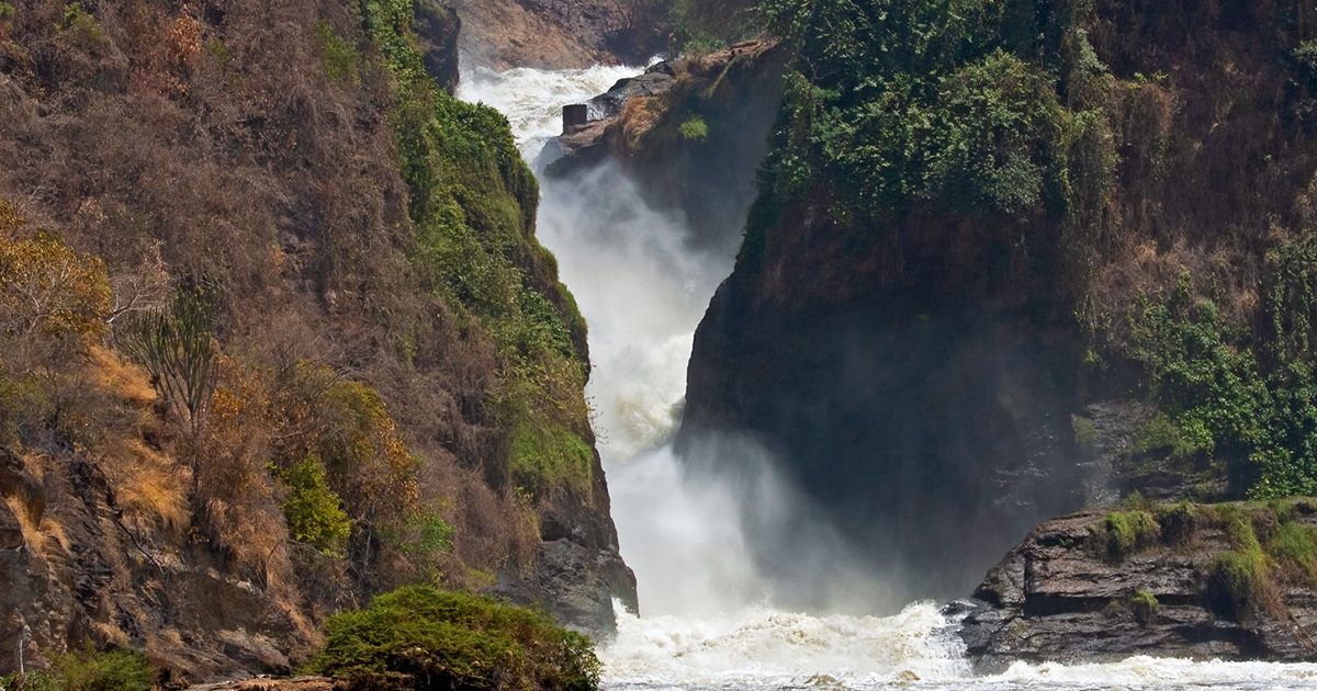 2-Day Murchison Falls Safari Adventure