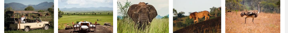 Rugged landscape of Kidepo Valley National Park with abundant wildlife, including zebras and cheetahs.