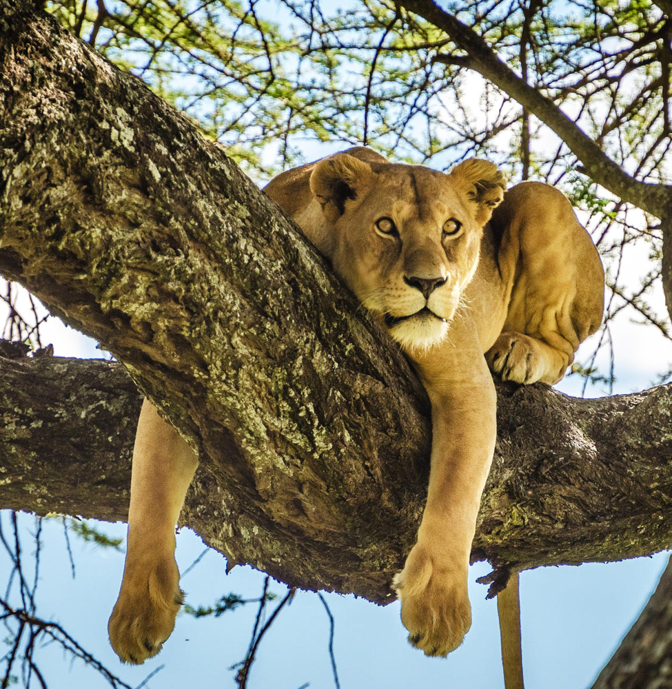 Lake Manyara National Park