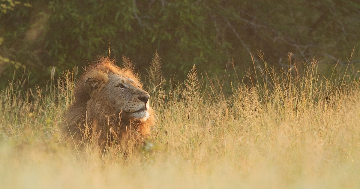 Kidepo National Park