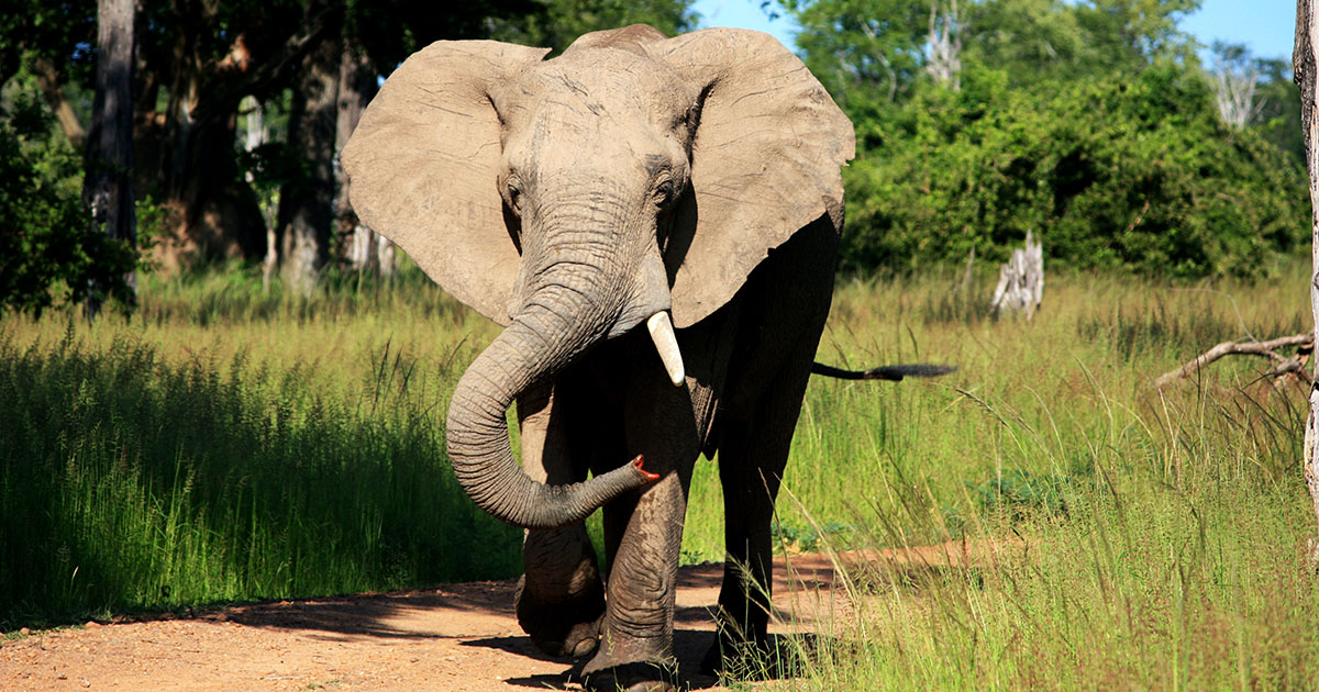 Kidepo Valley National Park